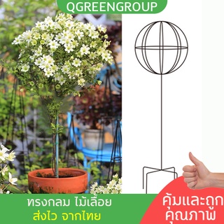 (ทรงกลม Tree Rose) ซุ้มไม้เลื้อย เถาปีนเขา ซุ้มกุหลาบ ทรงร่ม Tree Rose  โครงไม้เลื้อย / โครงไม้เลื้อยกุหลาบ/ซุ้มกุหลาบ