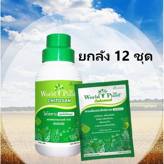 คู่หูมหัศจรรย์ ปุ๋ยน้ำ World Plant เวิลด์แพลนท์ สารเพิ่มประสิทธิภาพ+ไคโตซาน 12 ชุด