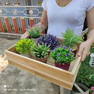 ถาดไม้​ ขนาด30​ x​ 40​ x​ 10​