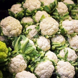 ฟิลิปปินส์Ready Stock White Cauliflower Seeds 200 Pcs/bagผลไม้เมล็ดFlower SeedsผักBonsaกระโปรง/ดอกทานตะวัน/เสื้อ/ดอกไม้/