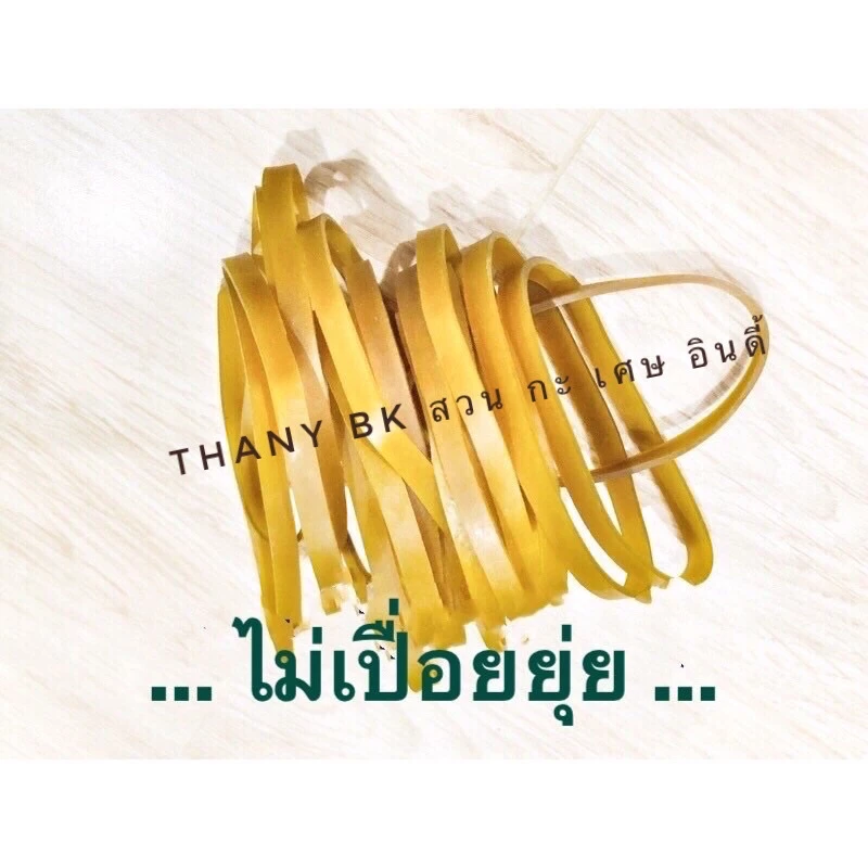 หนังยางวงใหญ่ หนา 5 มิลลิเมตร ขนาด ~ 2.5 นิ้ว (50 กรัม)