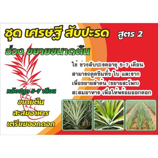 ชุดเศรษฐีสับปะรดสูตร 2 ชุดรวมอาหารพืชสูตรสมดุล เหมาะสำหรับ ช่วงอายุ 5-7 เดือน สูตรขยายต้น สะสมอาหาร เตรียมออกดอก