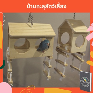 ของเล่นนก บ้านทะลุ บ้านสัตว์เลี้ยง บ้านนก บ้านชูก้า บ้านกระรอก รังสัตว์เลี้ยง รังนก รังชูก้า ของเล่นสัตว์เลี้ยง