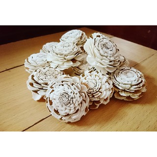 ดอกมะลิสลับ jasmine sola flower ขนาด 4 ซม