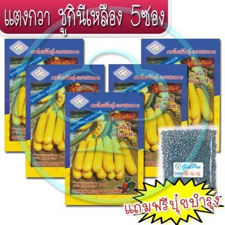 เมล็ดพันธุ์แตงชูกินีเหลือง 5ซอง แถมปุ๋ยฟรี