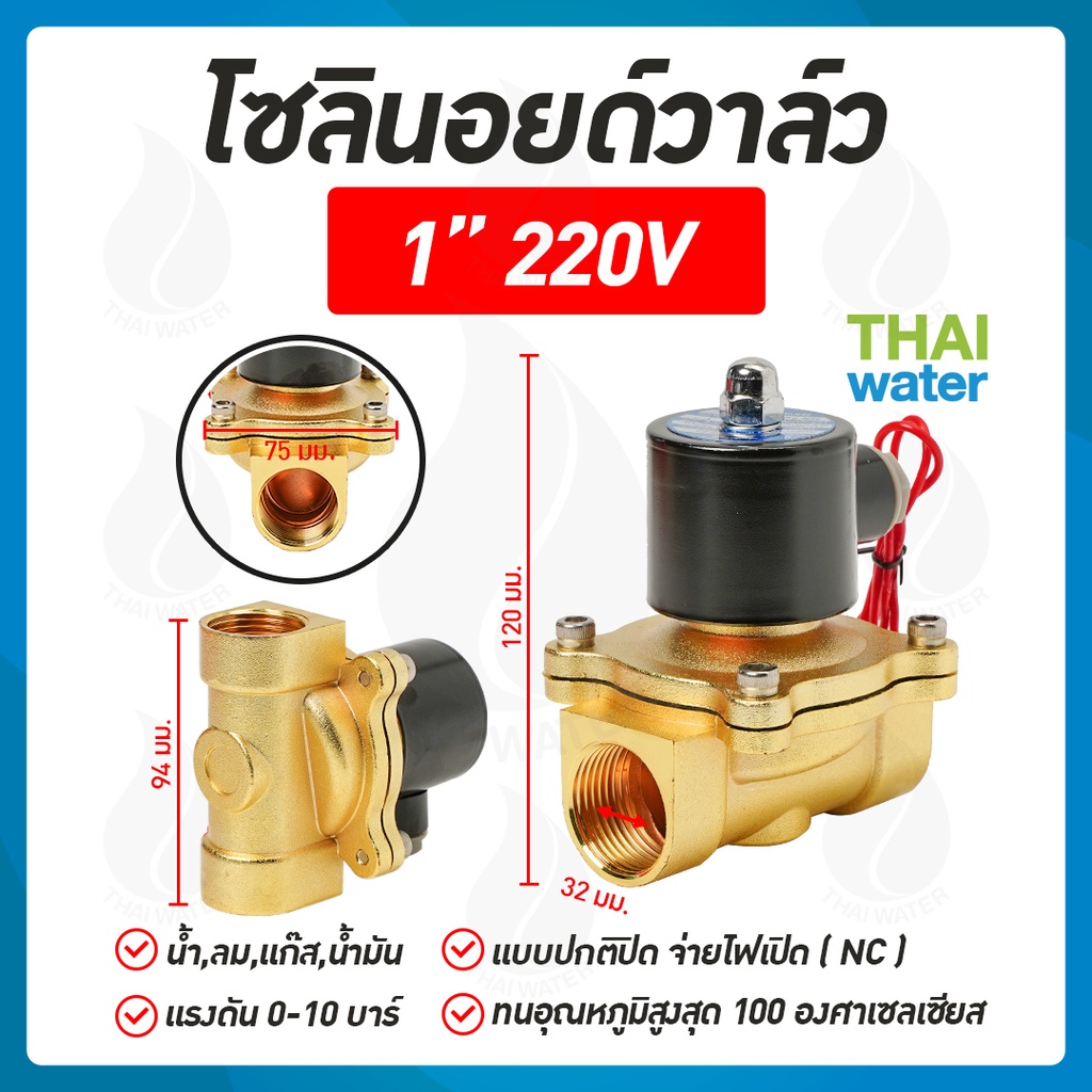 My Image 31