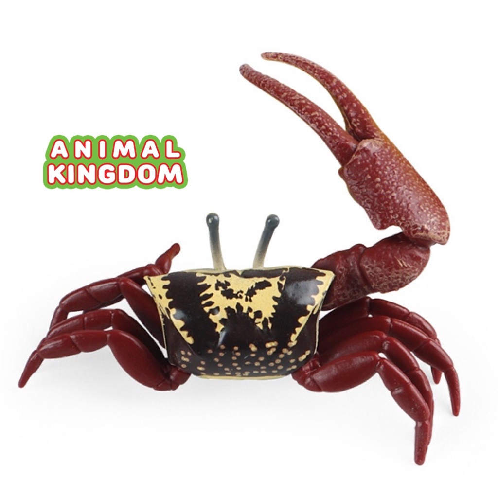 Animal Kingdom โมเดลสัตว์ Crab ปู ก้ามดาบ ลม ขนาด 9.00 CM (จากหาดใหญ่) ราคา ถูกที่สุด ดีลบีเคเค แกลเลอรีภาพที่ 2