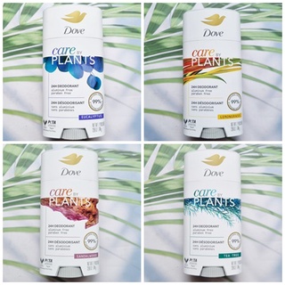 (Dove®) Care By Plants 24H Deodorant Stick 74 g โดฟ โรลออนสติ๊ก ผลิตภัณฑ์ระงับกลิ่นกาย ระงับเหงื่อ