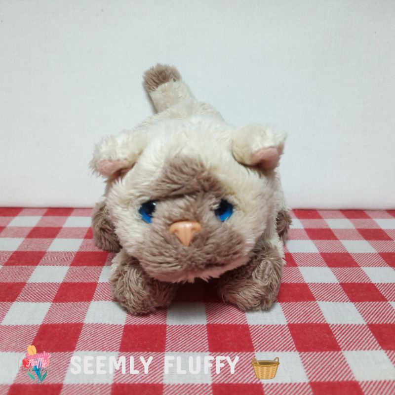 🐱 ตุ๊กตา น้องแมว งานเครื่อง FurReal Friends 4.5"