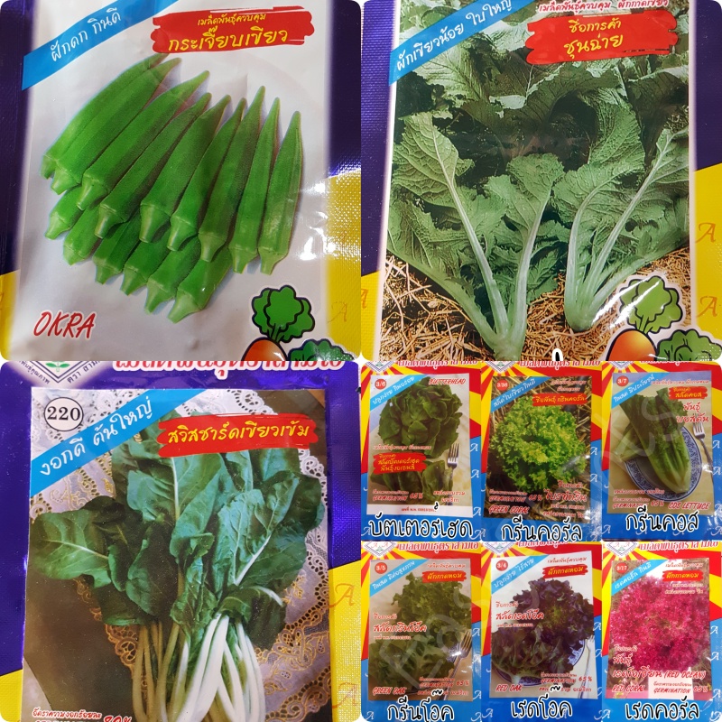 มาใหม่ เมล็ดพันธุ์ เมล็ดซอง ตรา 3A สามเอ สินค้ามาใหม่ เพื่อสุขภาพ