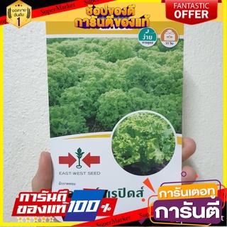 🍁HOT🍁 ผักกาดหอมแกรนด์ แรปิดส์ ศรแดง GREEN RAPID LETTUCE SEED EAST-WEST SEED 🚚✅