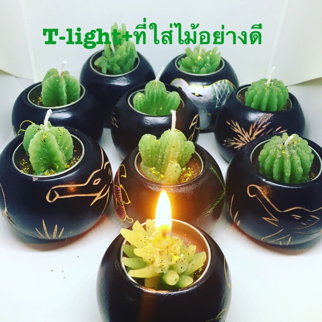 T-Lightต้นตะบองเพชรพร้อมที่วางแพ๊ต3ชุด