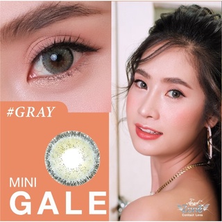 คอนแทคเลนส์ Angelzone Color รุ่น Mini Gale Gray สีเทา