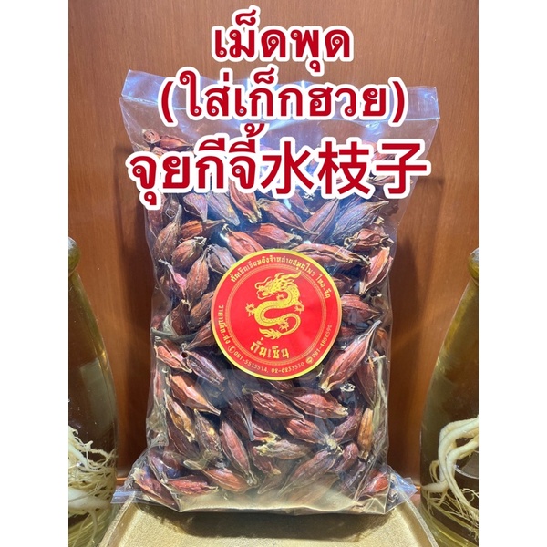 จุยกีจี้水枝子 เม็ดสีเม็ดเก็กฮวย กีจี้ เม็ดเก็กฮวย เม็ดสี ลูกพุด เม็ดพุด Gardenia Fruit ลูกพุดจุยกีจี้ใส่น้ำเก็กฮวยให้สีสวย - รูปที่ 3