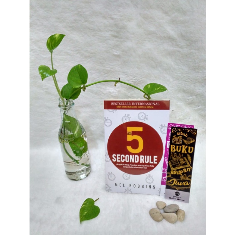 The 5 Second Rule - Alvabet - SWW