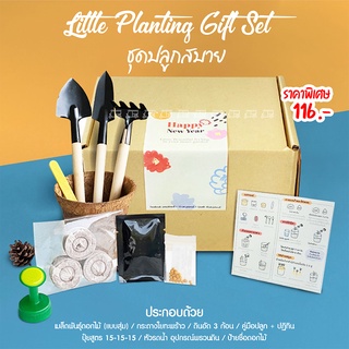 🌳 NEW YEAR SET FOR PLANT LOVER 🌳 ชุดปลูกสบาย กระถาง วัสดุปลูก หัวบัวรดน้ำ ชุดปลูก ต้นไม้ ด่าง พีทมอส อุปกรณ์ปลูกต้นไม้