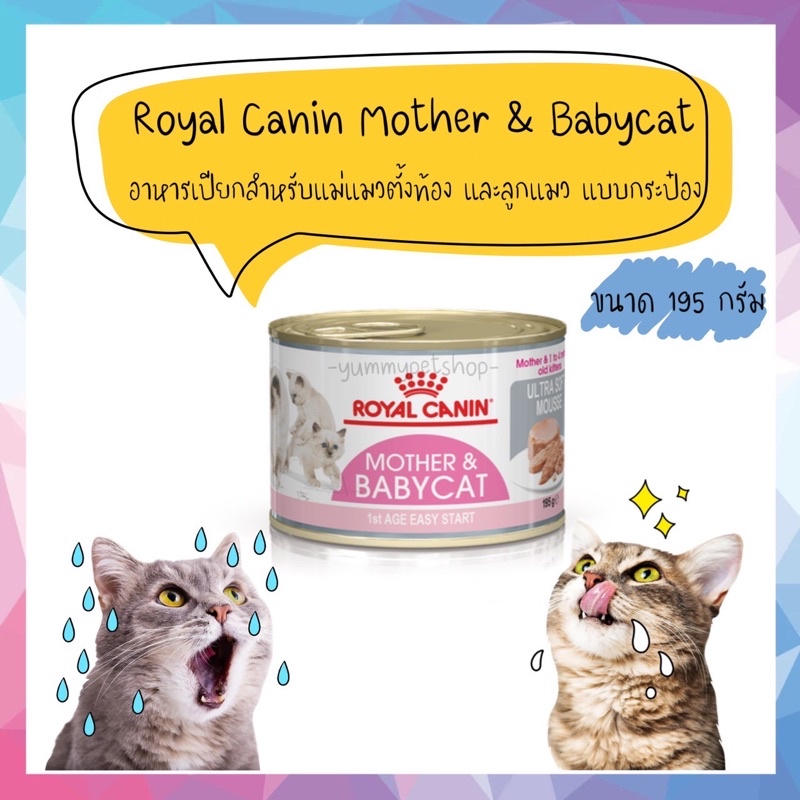 Royal Canin Mother&Babycat อาหารเปียกสำหรับลูกแมว และแม่แมวตั้งท้อง แบบกระป๋อง ขนาด 195 กรัม