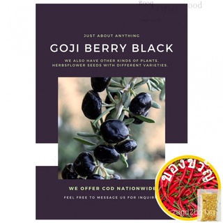 Goji Berry Black Seeds for Planting (10 seeds) FRUITสวน/บ้านสวน/ผักชี/ผักกาดหอม/แม่และเด็ก/มะละกอ/พาสต้า/กุหลาบ/สร้อยข้อ