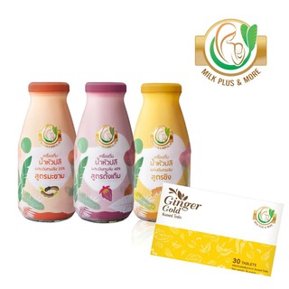 Milk Plus &amp; More แพคคู่ Ginger Gold วิตามินเพิ่มน้ำนม1กล่อง +น้ำหัวปลีMilkPlus9 ขวด