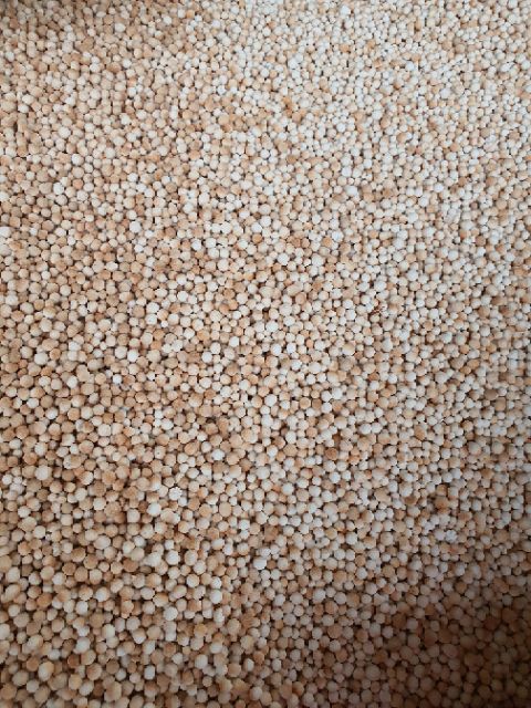 แป้งสาคูต้นแท้  100% 500กรัม เม็ดสวย ไม่ผง - รูปที่ 6