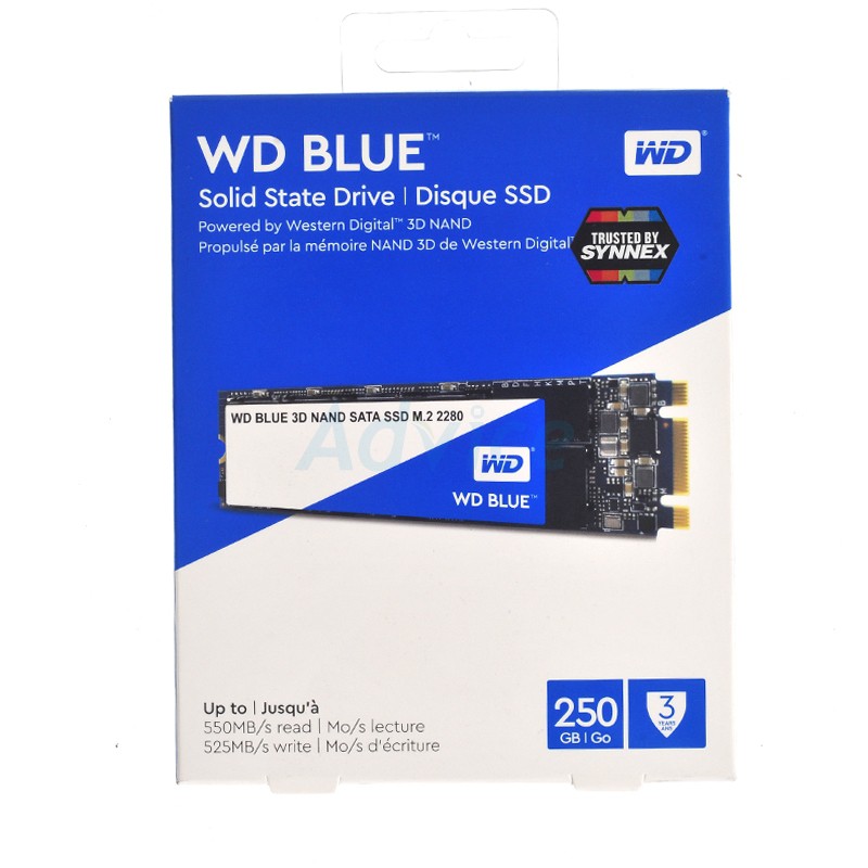 250 GB SSD WD Blue 3D NAND M.2 2280 (WDS250G2B0B)