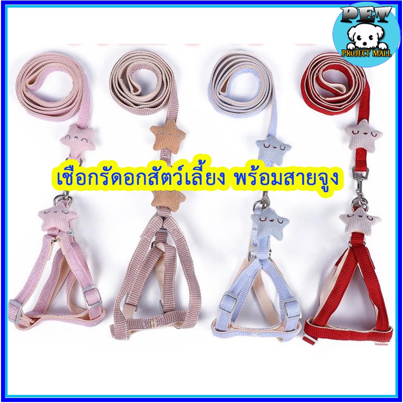 PP-084 ชุดสายจูงพร้อมสายรัดอก สำหรับสุนัขและแมว ลายปลาดาวน่ารัก พร้อมส่งทันที 🐾