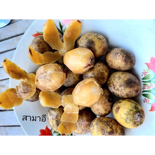 มะกอกป่าใส่ตำส้มตำ ผลแก่จัด (500 กรัม) 💢เสียหายร้านรับเครม