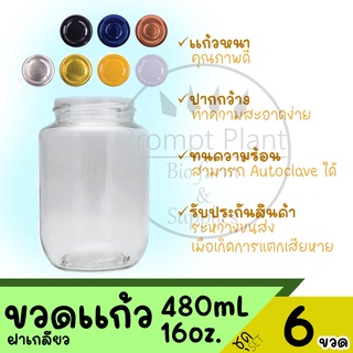 ขวดเพาะเลี้ยงเนื้อเยื่อ ขวดแก้ว ฝาใส ขนาด 16 ออนซ์ (6ขวด)