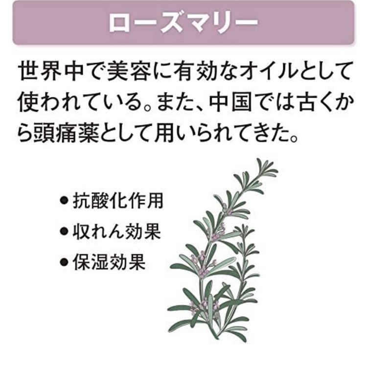 🌸 แชมพูสระผมชิเซโด้ Shiseido Super Mild Shampoo 1 Lt. 🌸🇯🇵 - รูปที่ 3