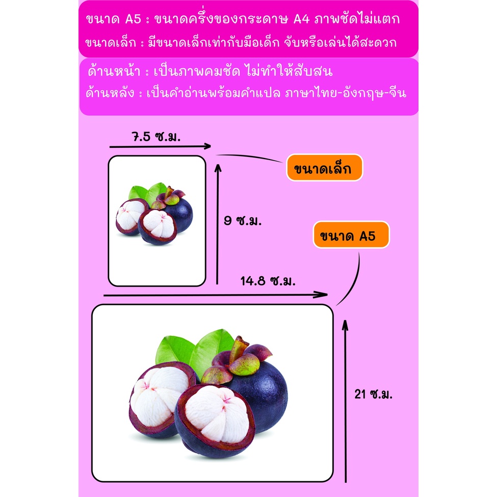 บัตรภาพ Flash Cards ผลไม้ ราคา ถูกที่สุด ดีลบีเคเค แกลเลอรีภาพที่ 3