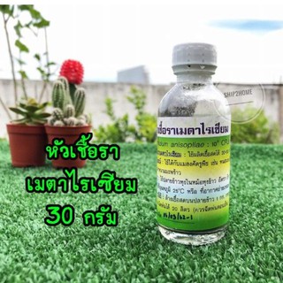 หัวเชื้อราเมธาไรเซียม 30กรัม (เป็นหัวเชื้อใช้ผลิตเชื้อสดได้ 20-50 kg) มีคู่มือวิธีขยายเชื้อให้