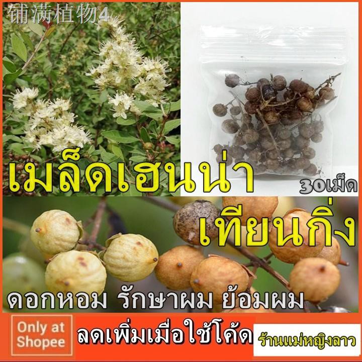 My Image 23