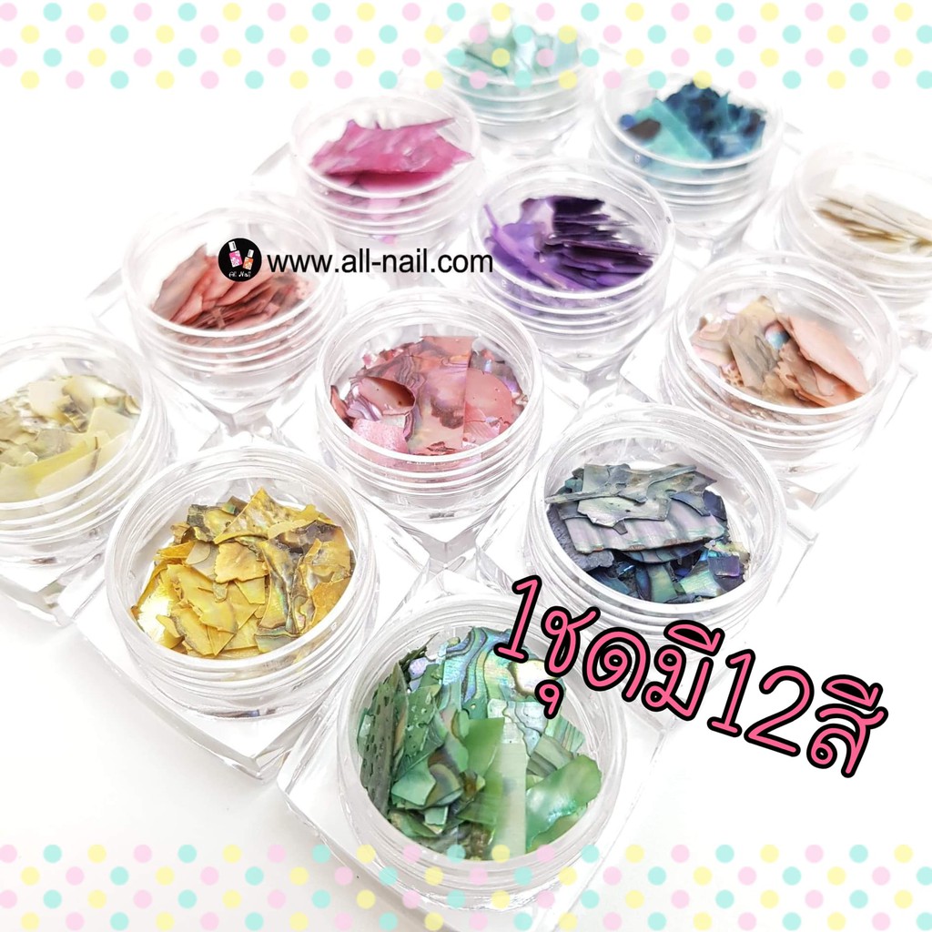 เปลือกหอยแต่งเล็บ ติดเล็บ 1ชุดมี12สี(เล็ก)