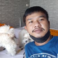 Profile NoName