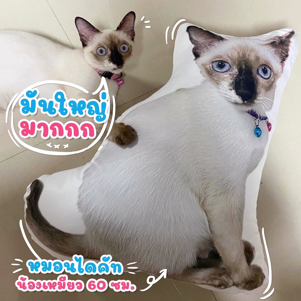 หมอนน้องแมว สกรีนหมอนเป็นรูปน้องแมว ไดคัทราคาถูก หมอนราคาถูกรูปน้องแมว
