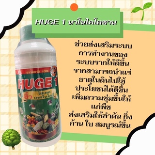 HUGE 1 (นาโนไคโตซาน/ปุ๋ยน้ำ)