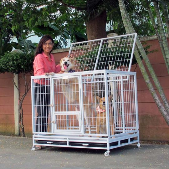 กรงสุนัขพับได้ไซส์ L สีเทาอ่อน Happy Haus