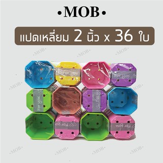 MOB กระถาง 2 นิ้ว คละสี 36 ใบ กระถางพลาสติก กระถางกระบองเพชร กระถางแคคตัส ไม้อวบน้ำ สีสดใส