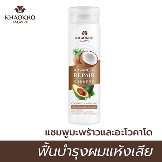 Khaokho Talaypu 240ml. เขาค้อทะเลภู แชมพูมะพร้าว โคโคนัทแอนอโวคาโด 240 มล.