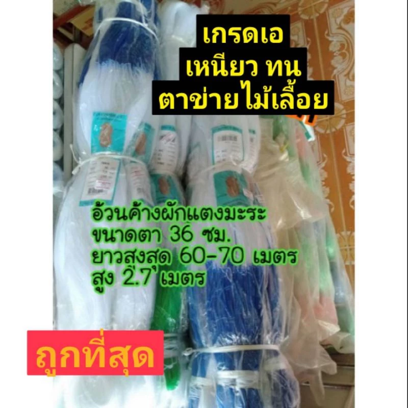 อวนค้างแตง ถั่ว บวบ มะระ