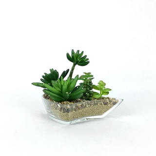 ต้นไม้ปลอมแต่งบ้าน สวนถาดแก้ว Eceveria succulent plant จัดสวนถาด สวยเหมือนจริง(1P00101-B-714-N)