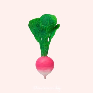 Oli &amp; Carol | Ramona The Radish  (โอลี แอนด์ แครอล)