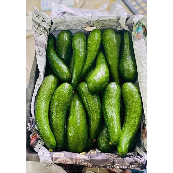 อะโวคาโด 034 เวียดนาม