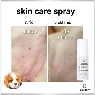 Labocyn Skin Care Spray สเปรย์ดูแลผิวหนัง ขนาด 25มล (ผิวหนัง 25มล.)