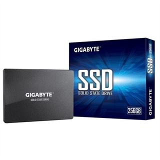 SSD 256 GB (เอสเอสดี 256 GB) Solid State Drive 2.5 GIGABYTE (GP-GSTFS31256GTND) ประกัน 3 ปี