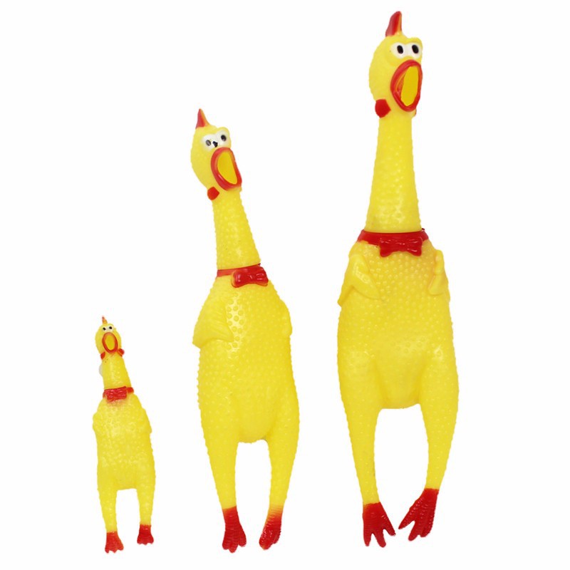 กรีดร้องไก่ยางพารา กรีดร้องไก่ยางพารา
