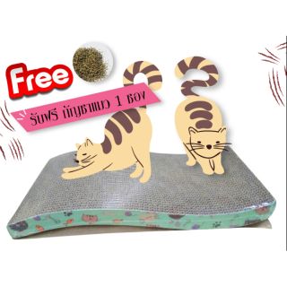 🔥ถูกที่สุด 🔥 โซฟาลับเล็บแมว แบบ ลอนคลื่น แถม catnip 1 ซอง