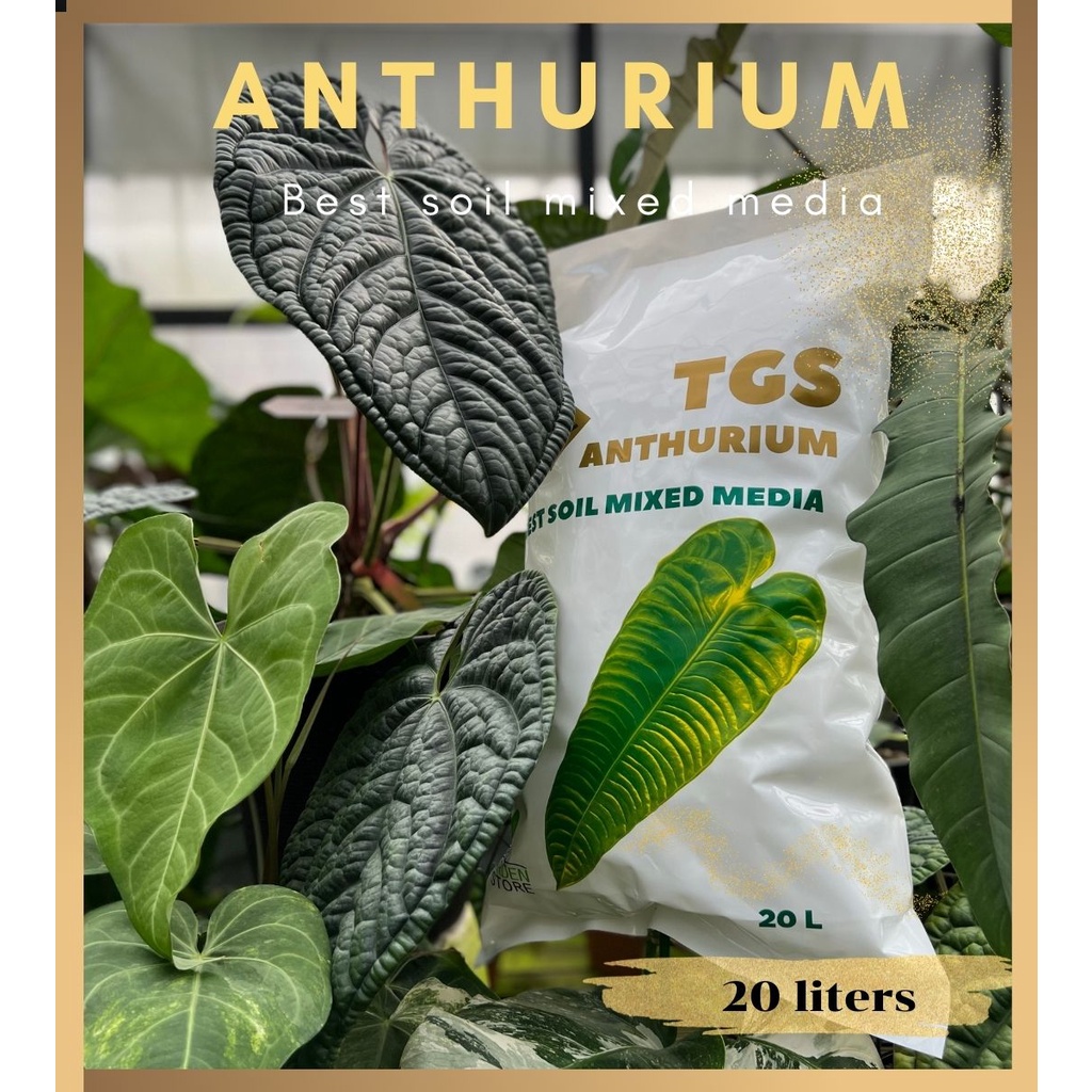 ดินพร้อมปลูกหน้าวัว Anthurium Best soil Mixed  ขนาด 20 ลิตร
