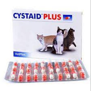 Cystaid plus หมดอายุ 01/2024 อาหารเสริมโปรตีนสำหรับแมวอายุ 6 เดือนขึ้นไป