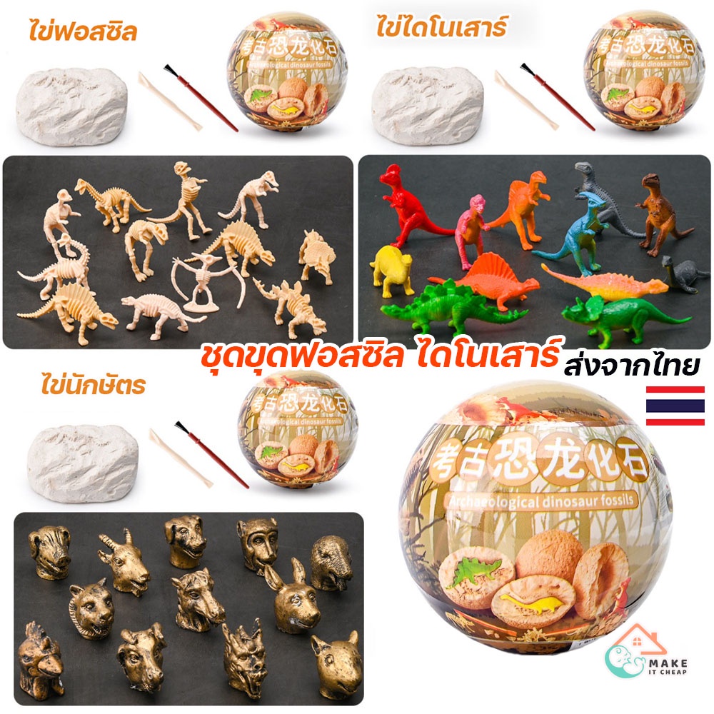 เซ็ตขุดฟอสซิลไดโนเสาร์ ไข่สุ่มโครงกระดูก ของขวัญสุดพิเศษสำหรับนักสำรวจตัวน้อย